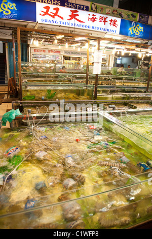 Seafood centre, Sabah, Kota Kinabalu, Malaysia Stock Photo