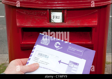 person posting completed census form in post box uk Stock Photo