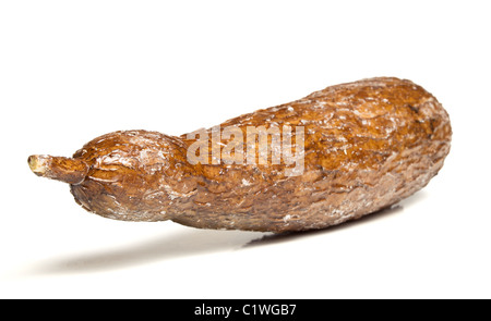 Cassava root isolated on white from low perspective. Stock Photo