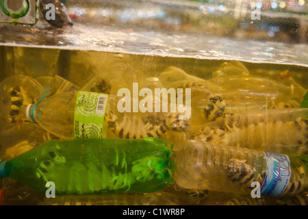 Seafood centre, Sabah, Kota Kinabalu, Malaysia Stock Photo