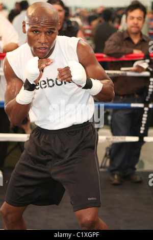 Boxer Floyd Mayweather Jr.works out as he trains to face Juan Manuel Marquez at the MGM Grand Garden Arena on September 19 in Stock Photo