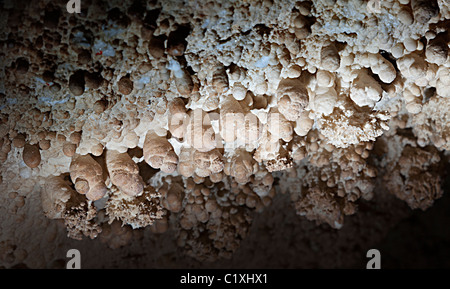 Cave popcorn formations in Carlsbad Caverns New Mexico USA Stock Photo ...