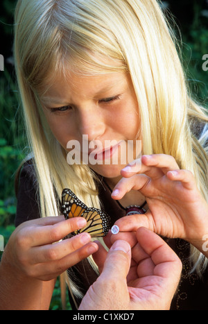 YOUNG GIRL BANDS A MONARCH BUTTERFLY AS PART OF SCHOOL PROJECT IN MINNESOTA.  SUMMER. Stock Photo
