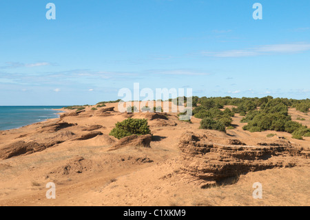 Corfu, Greece. October. The sandstone rock formations on the dunes at Issos. . Prickly juniper Stock Photo
