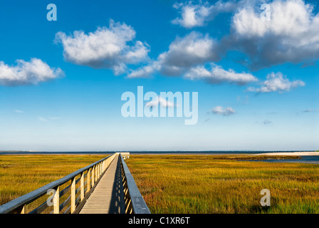 Wetlands observatory deck, Grays Beach, Yarmouth, Cape Cod, MA Stock Photo