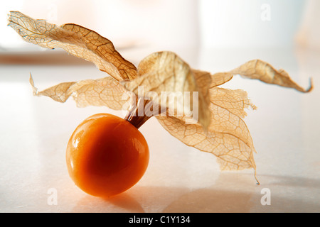 Fresh Incan Berry - also known as Cape Gooseberry, agauaymanto berries or Goldenberries. source of Vitamin P and bioflavinoids Stock Photo