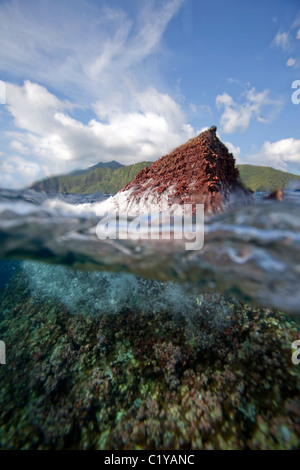 A split-water view of Shark Fin Rock, a popular scuba diving site of the Cocos Island, off the coast of Costa Rica. Stock Photo
