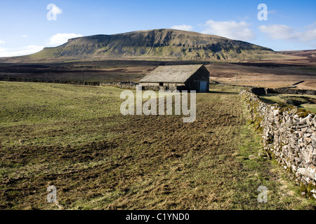 A field barn at Blishmire, with Pen-y-ghent in the distance Stock Photo