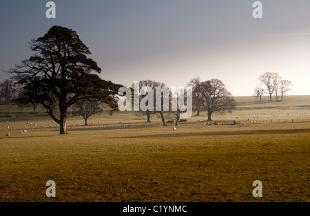 A walk down a country lane in the English countryside, stopping to look at the view across the fields. Stock Photo
