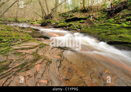 Old red sandstone and river in Gelt Woods near Brampton in Cumbria, England Stock Photo