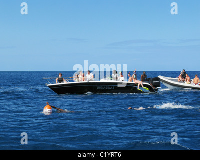 Tourists snorkeling and swimming with dolphins in the Baie de la Grande Rivière Noire, La Preneuse, Black River, Mauritius. Stock Photo