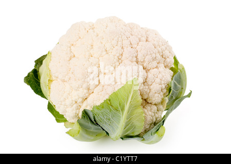 a cauliflower with white background Stock Photo