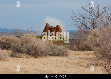 Fly Geyser is a geyser whose origin has been triggered accidently by men when they were drilling for geothermal resources. Near Gerlach, Nevada, USA. Stock Photo