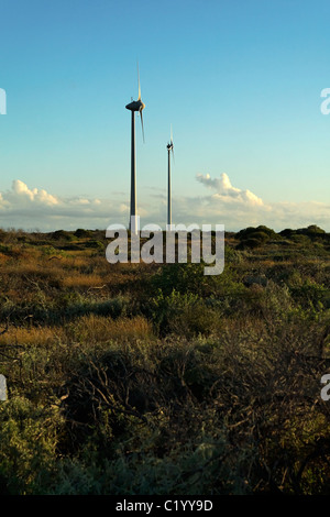 Wind Generators, Denham Western Australia Stock Photo