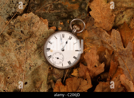 Antique pocket watch on dead leaves Stock Photo