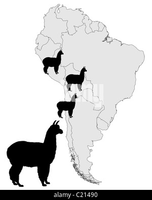 Alpaca range map Stock Photo