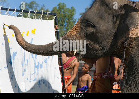 An elephant paints a picture during the Surin Elephant Roundup.  Surin, Surin province, Thailand Stock Photo