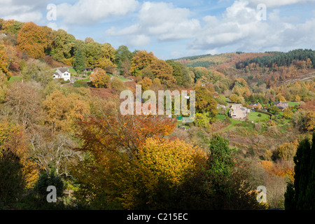 Autumn colours in the Forest of Dean at Two Bridges, south of Lower Soudley, Gloucestershire, England, UK Stock Photo