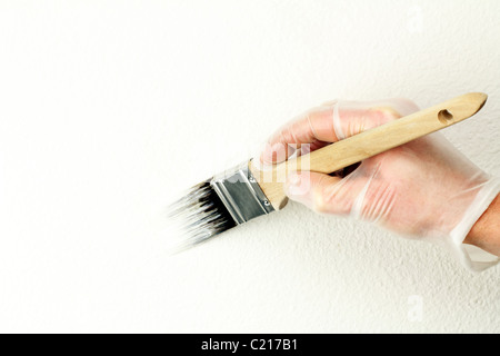 Hand with glove painting touch up paint interior wall repair. Home touch up painting off-white paint on wall with paint brush by vinyl gloved hand. Stock Photo