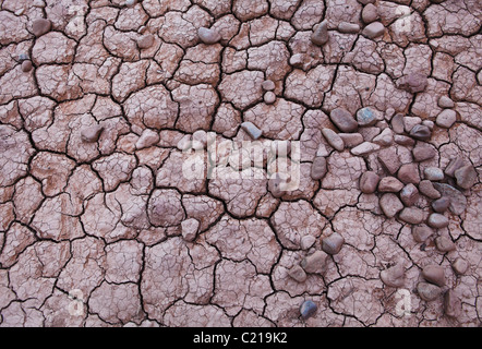 Cracked mud and pebbles in Arches National Park, Utah, USA. Stock Photo