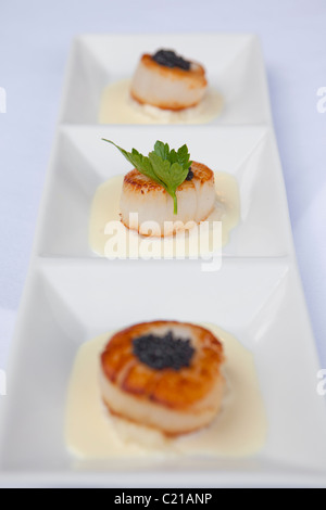 Scallops in a white wine and cream sauce with caviar. Stock Photo