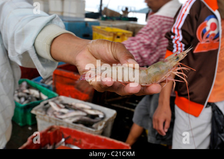 Fish or Wet Market in Kota Kinabulu, capital of Sabah, Northern Borneo. Malaysia Stock Photo