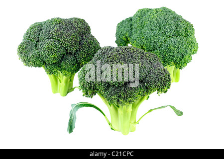Three raw green flowering stalks of this vegetable stand upright isolated on white. A few dark green broccoli heads standing upright in front of white Stock Photo