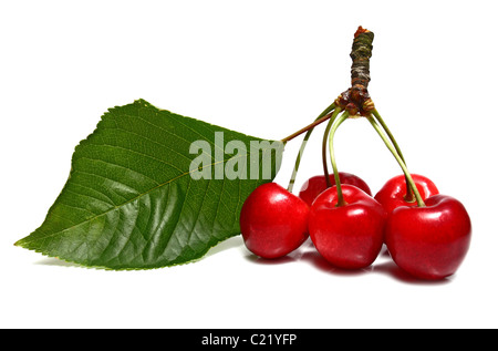 sherry with leaves isolated on white background Stock Photo