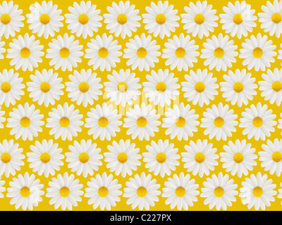 Mother's Day card with white daisies in a pattern isolated on a yellow background Stock Photo