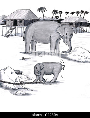 Older and younger pachyderm; baby attached to heavy chain, adult trained to stay with just rope. Hand drawn art showing learned behavior of animals Stock Photo