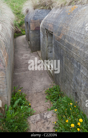 Old German bunkers from WWII that belonged to the Atlantic wall in Hirtshals, Denmark Stock Photo