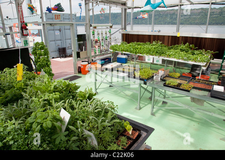 The Science Barge is a completely sustainable Urban Farm used for educating schoolchildren and the general public. Yonkers, NY Stock Photo