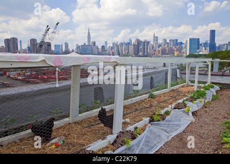 Eagle Street Rooftop Farm is a 6,000 sq ft rooftop urban farm in Greenpoint, Brooklyn Stock Photo