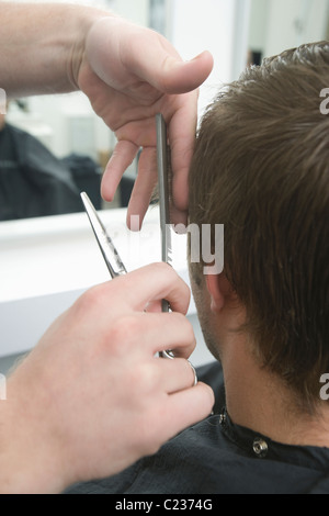 Precision clipping hair Stock Photo