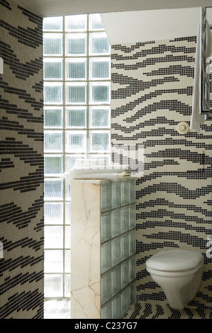 Black and white Bisazza tiles in toilet cubicle with glass bricks Stock Photo