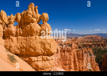 Sandstone Hoodoos in Bryce Canyon Amphitheatre Utah USA United States of America US Stock Photo