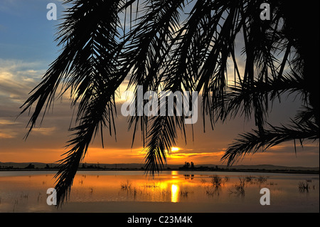 Sunset over a salt lake in Fatnas Island near the town of Siwa, western desert, Egypt Stock Photo