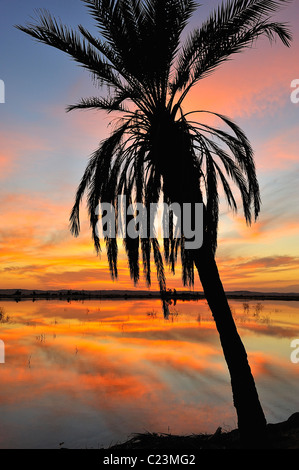 Sunset over a salt lake in Fatnas Island near the town of Siwa, western desert, Egypt Stock Photo