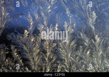 Frost forms on a cold glass window pane. Stock Photo