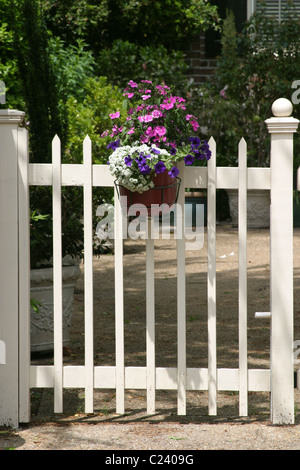 White picket fence with hanging flower baskets in a sunny garden Stock ...