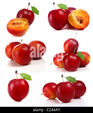 cherry-plum isolated on white background Stock Photo