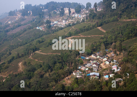 A hamlet cocooned by tea plantations in Darjeeling, West Bengal, India. Stock Photo