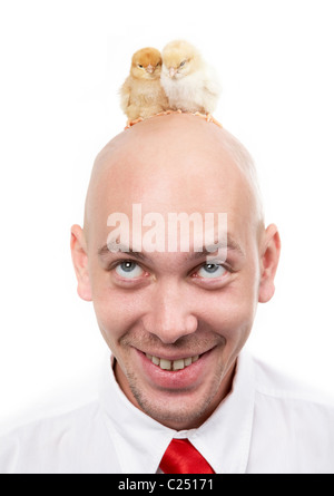 Image of bald male head with two chick Stock Photo