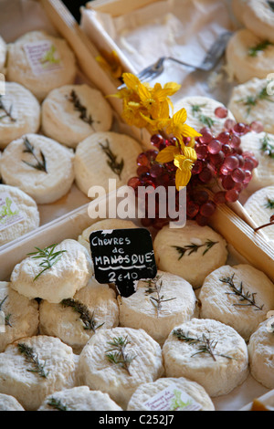 Goat cheese at a Market in Place Richelme in Vieil Aix the old quarter of Aix en Provence, Bouches du Rhone,  Provence, France. Stock Photo