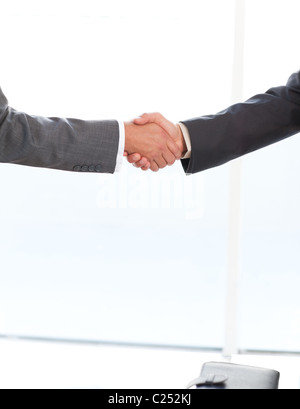 Close up of two businessmen shaking their hands standing in the office Stock Photo