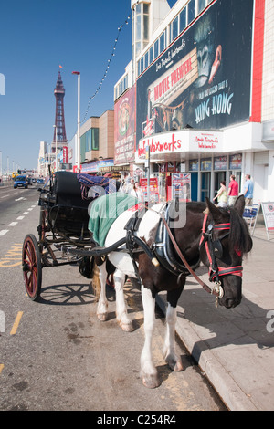 A horse drawn carriage on the promenade at Blackpool Beach in Lancashire, England, UK Stock Photo