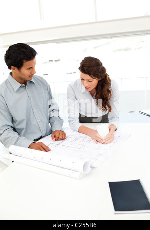 Two attractive architects looking at plans Stock Photo