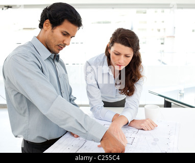 Two serious architects looking at blueprints on a table Stock Photo