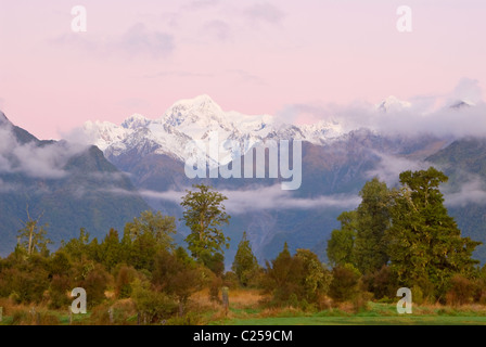 Fox Glacier, Westland, New Zealand Stock Photo