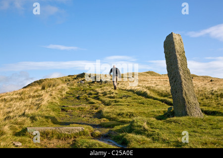 Waymarker stone known as Long Stoop on Pennine Way towards Stoodley Pike Stock Photo
